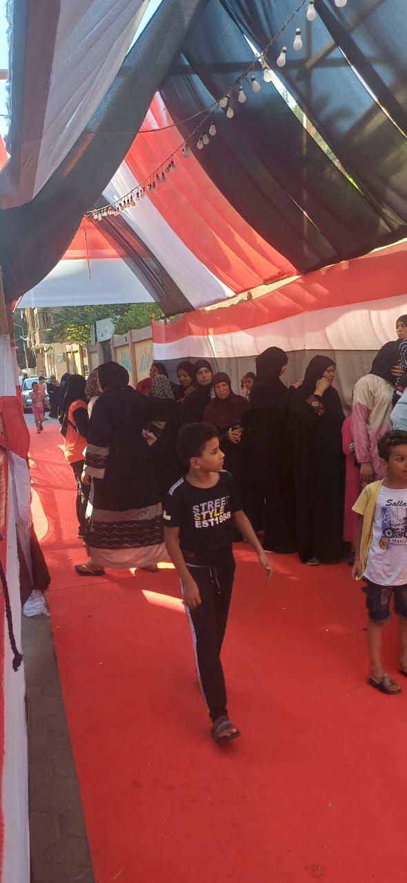 تزايد الناخبين فى اللجان تزايد الناخبين فى اللجان