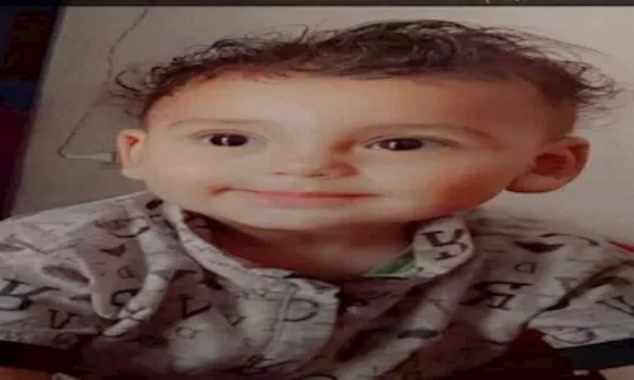 مصرع طفل برفسة حمار قاتلة في المنوفية