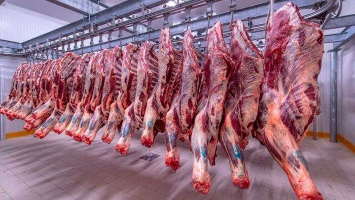 الكندوز بـ 420 جنيها.. أسعار اللحوم اليوم الخميس 21 أغسطس 2025
