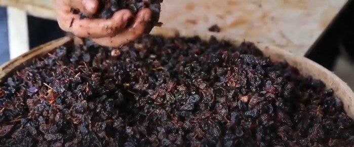 المنوفي: التوسع في تصنيع الزبيب خطوة استراتيجية تدعم الاقتصاد الوطني وتقلل الفاقد الزراعي