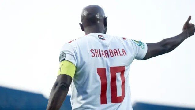 مدرب الزمالك السابق: ساهمت في حل أزمة شيكابالا مع لشبونة