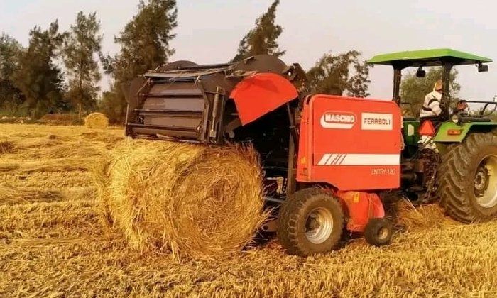 منعاً لحرق قش الأرز.. فتح مواقع تجميع قش الأرز وتوفير 227 معدة زراعية بالشرقية